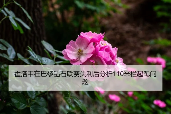 霍洛韦在巴黎钻石联赛失利后分析110米栏起跑问题