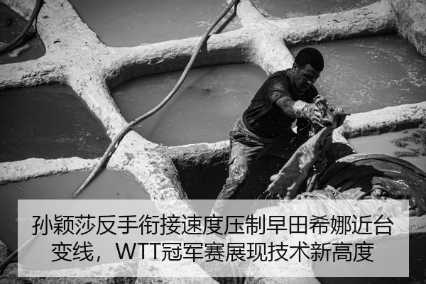 孙颖莎反手衔接速度压制早田希娜近台变线，WTT冠军赛展现技术新高度