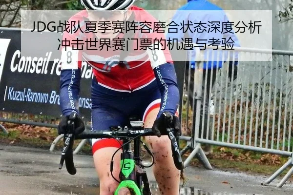 JDG战队夏季赛阵容磨合状态深度分析 冲击世界赛门票的机遇与考验