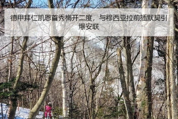 de-jia-bai-ren-kai-en-shou-xiu-mei-kai-er-du-yu-mu-xi-ya-la-qian-cha-mo-qi-yin-bao-an-lian-3-468.jpg