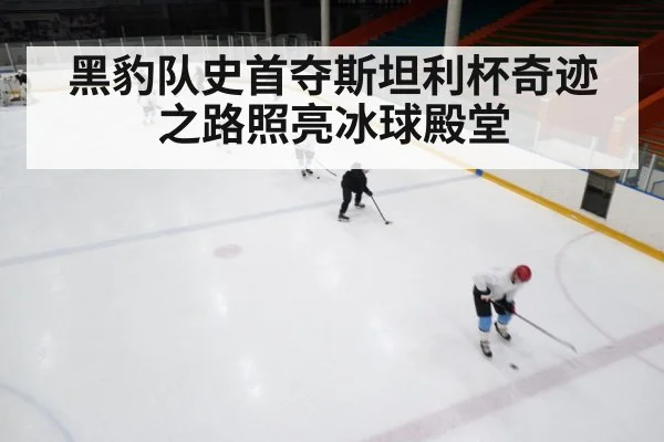 黑豹队史首夺斯坦利杯奇迹之路照亮冰球殿堂
